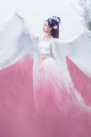 5人轮换免费观看电视剧最新